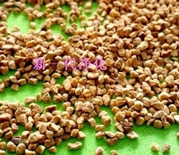 (yu)|(zh)ҚҚ(ͣҚw